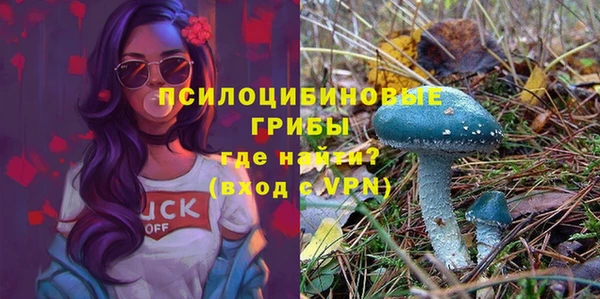 молекула духа Армянск