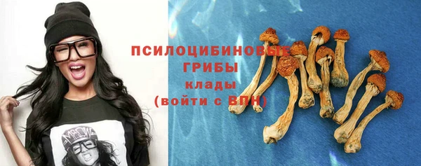 молекула духа Армянск